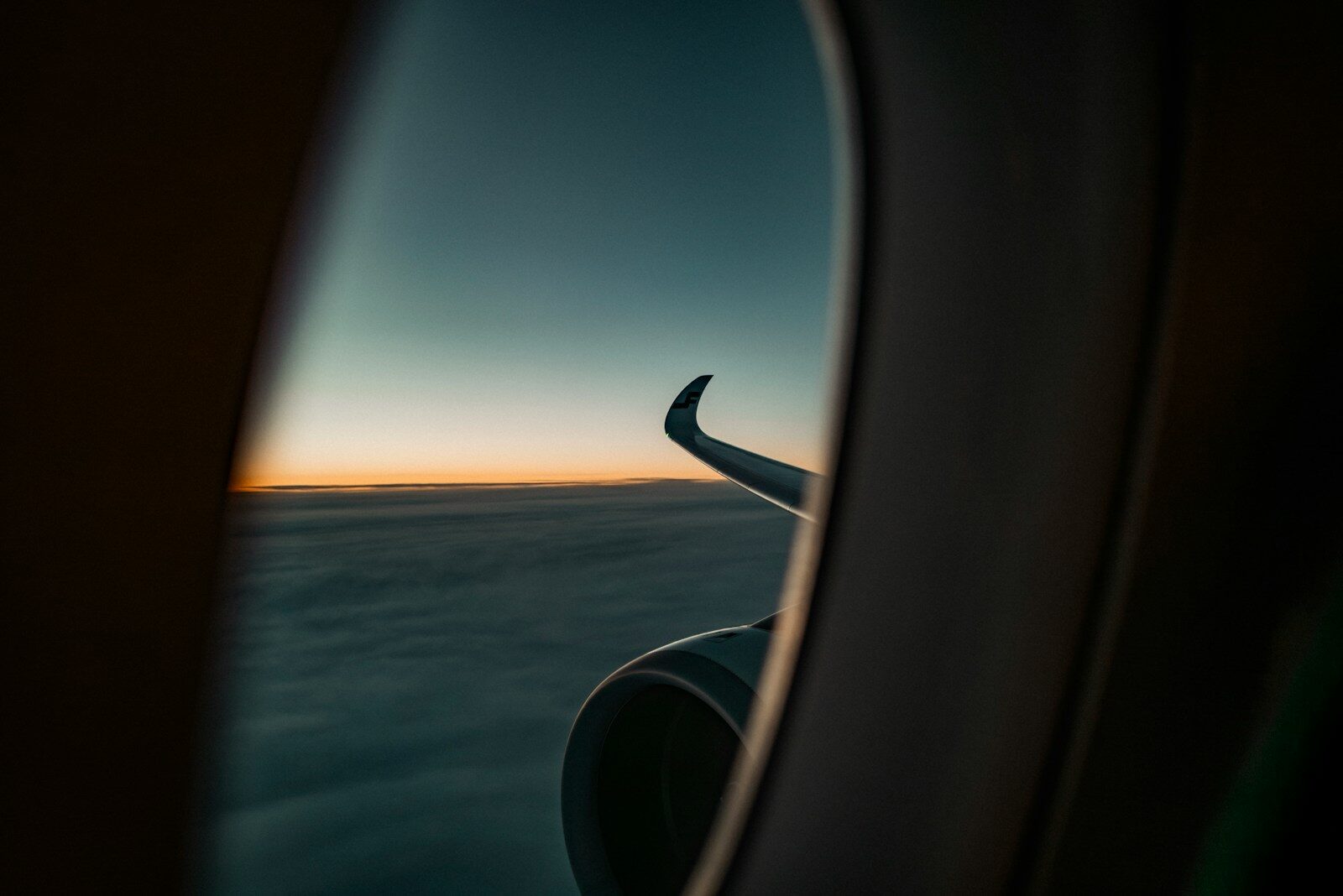 Legal Frameworks for Public Safety