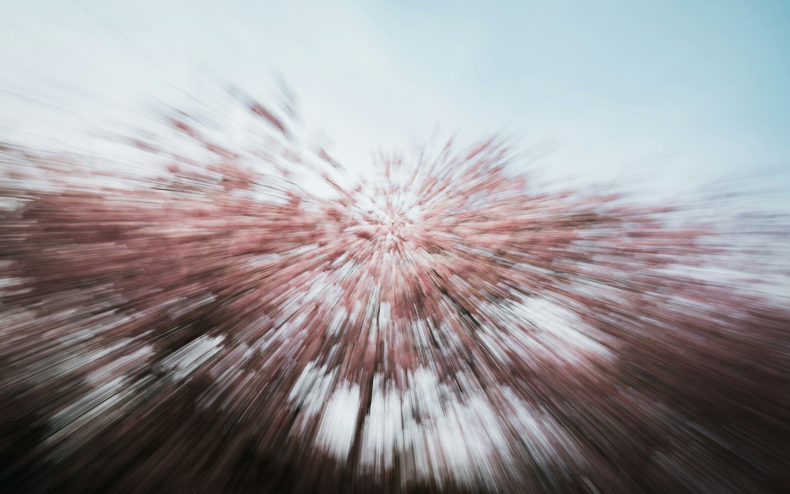 Legal Centralization and Advisors